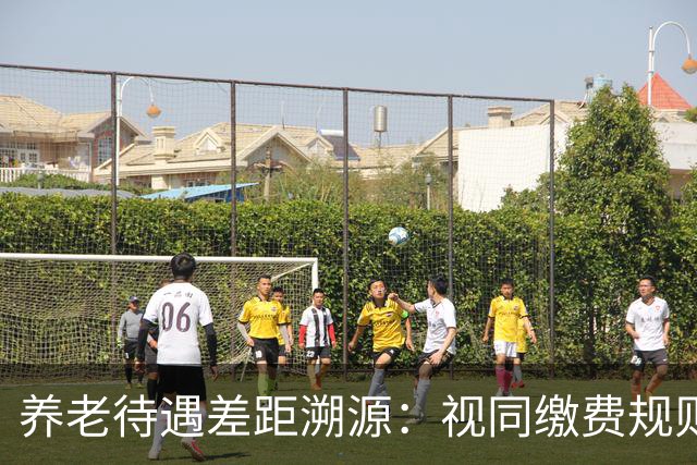养老待遇差距溯源：视同缴费规则统一才是制度公平关键